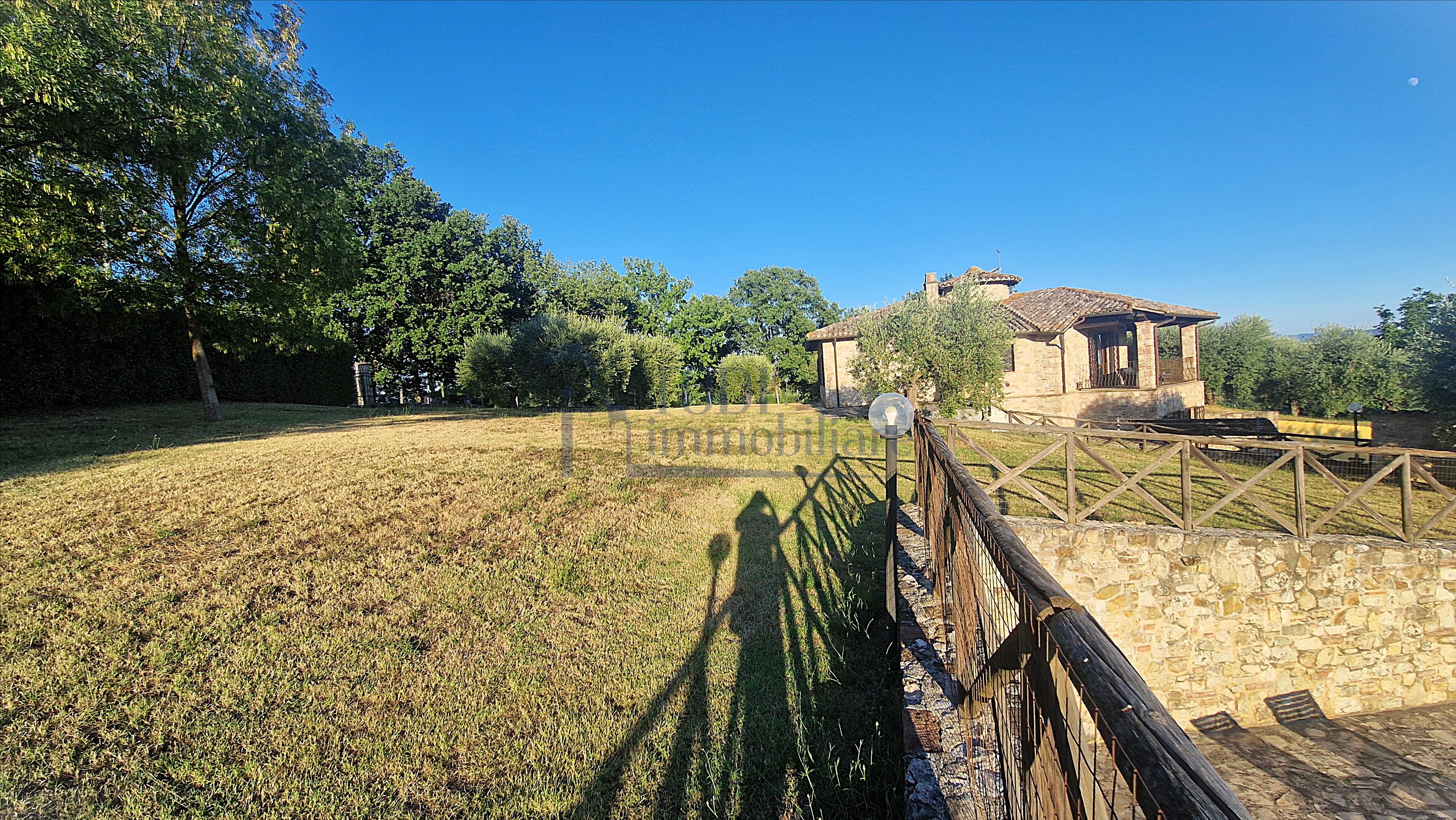 Amelia - Casale ristrutturato 250 mq con Piscina e oliveto - Todi Immobiliare