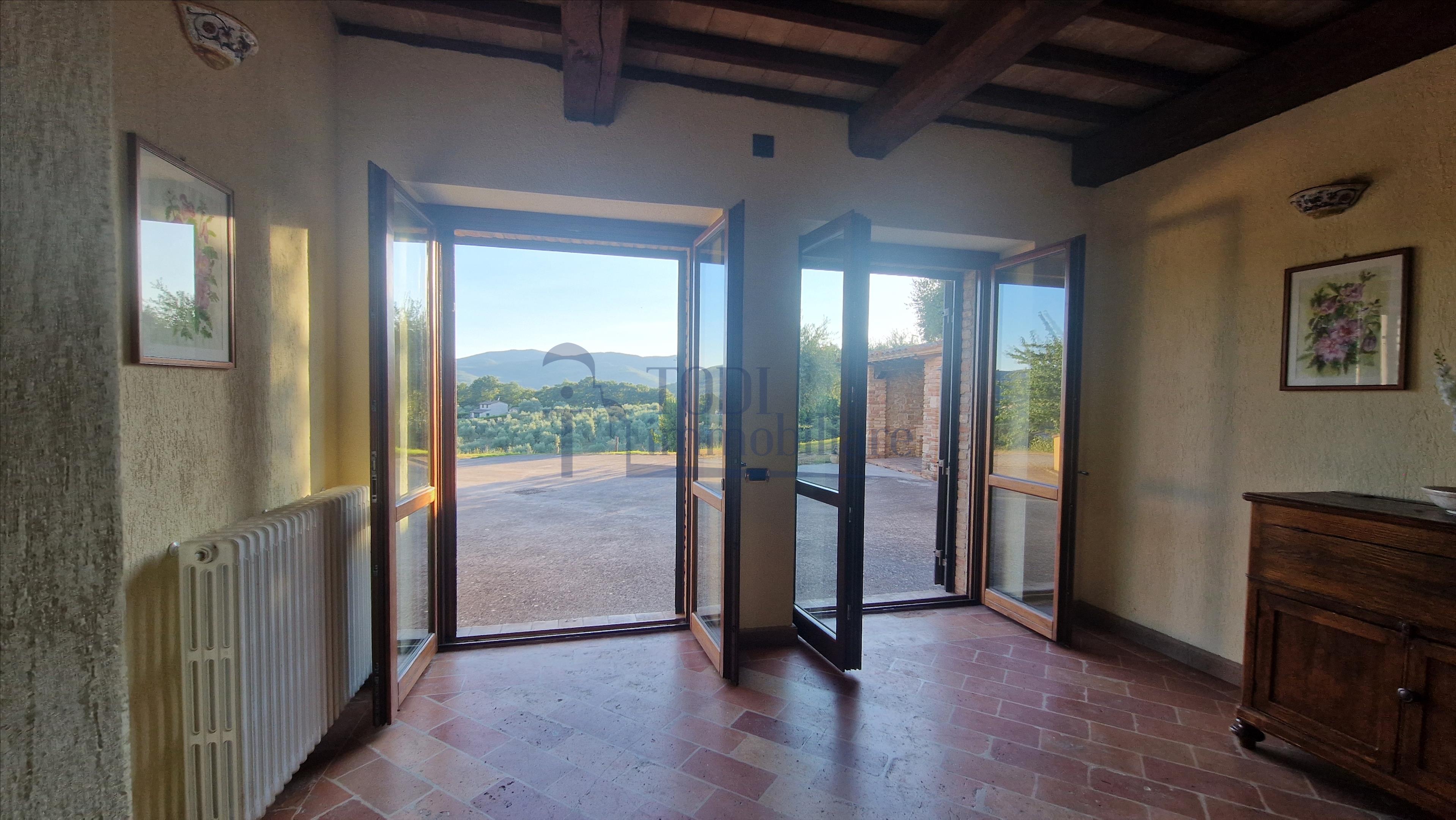 Amelia - Casale ristrutturato 250 mq con Piscina e oliveto - Todi Immobiliare