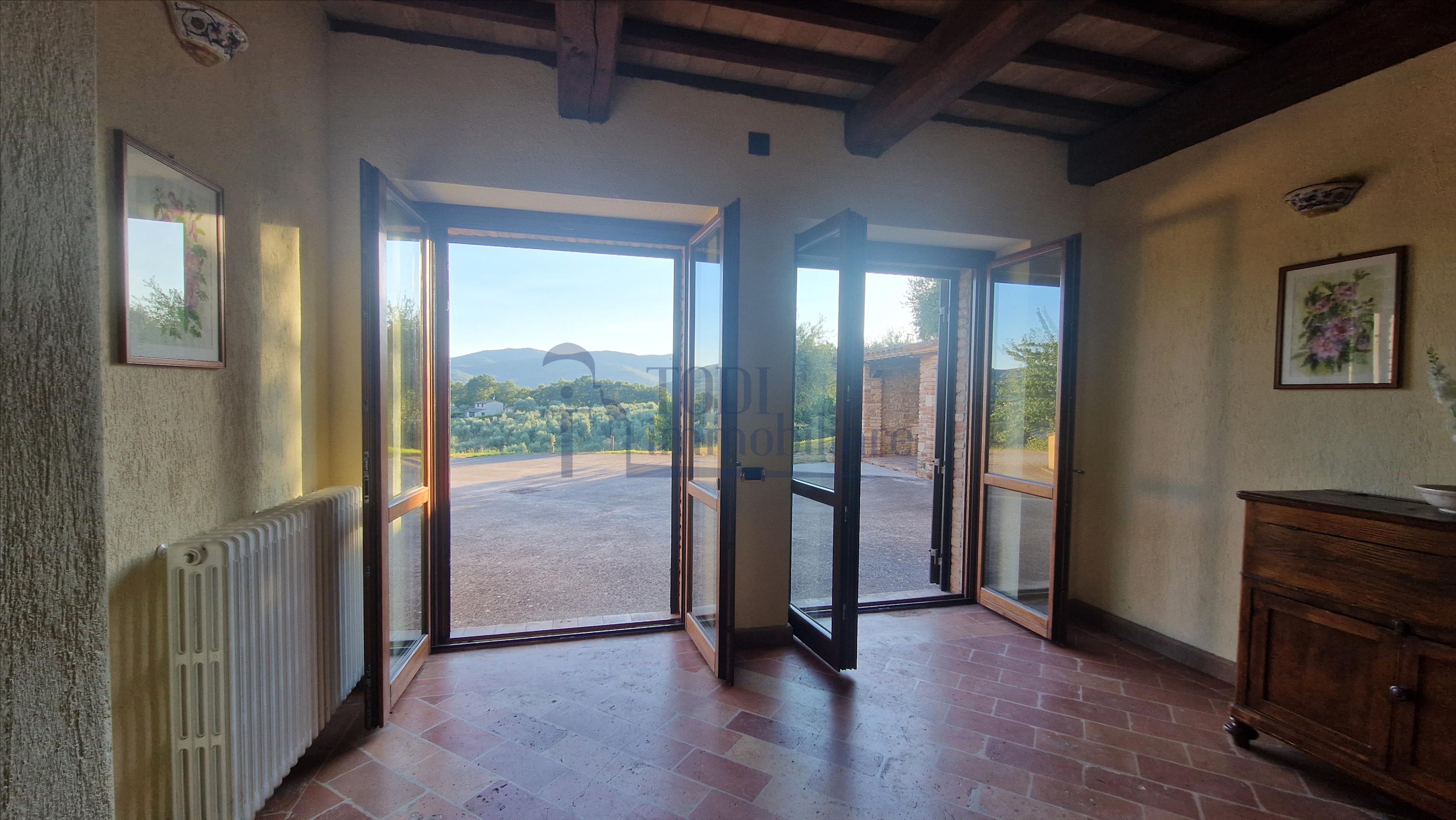 Amelia - Casale ristrutturato 250 mq con Piscina e oliveto - Todi Immobiliare
