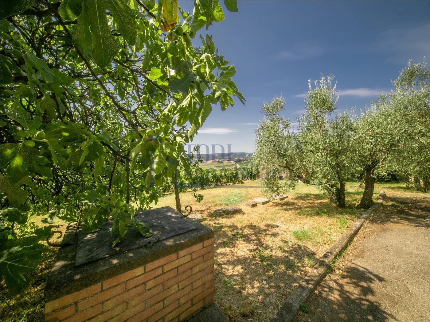Villa singola con terreno privato, appartamento indipendente e dependance. - Todi Immobiliare