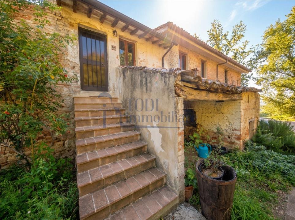 Azienda Agricola San Valentino - Todi Immobiliare