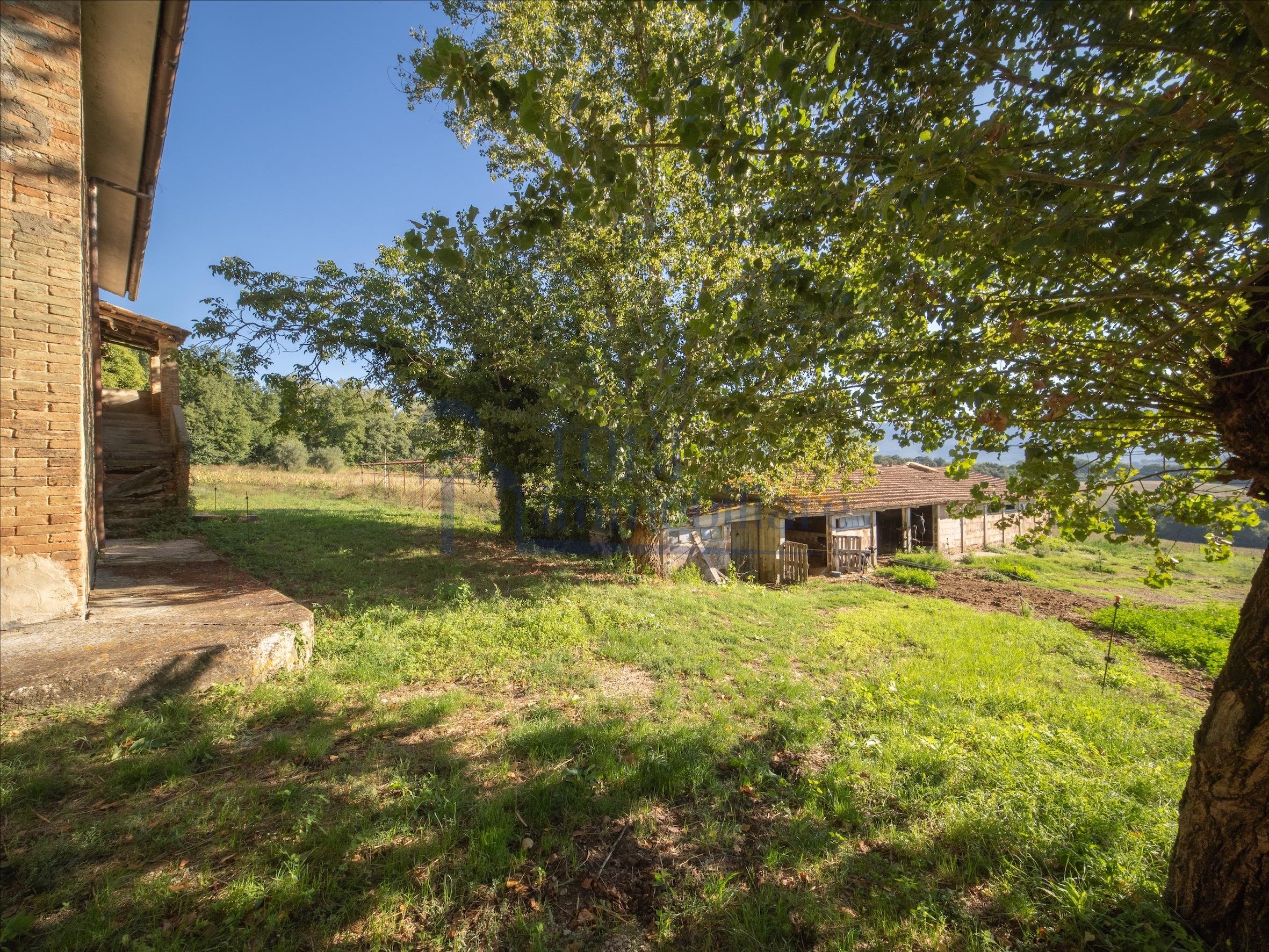 Azienda Agricola San Valentino - Todi Immobiliare