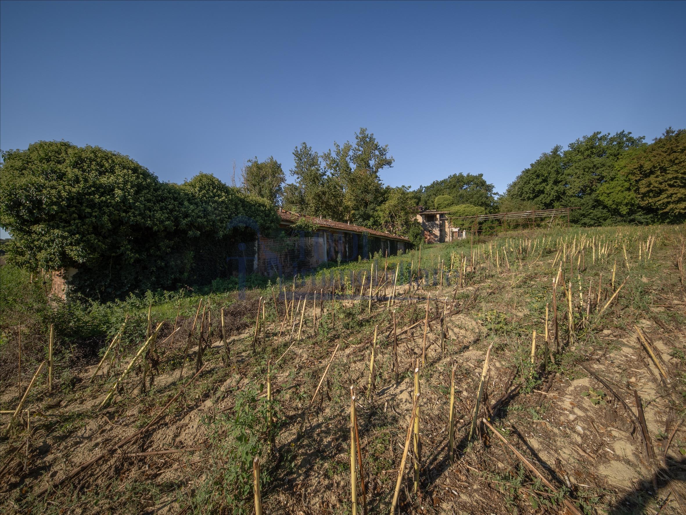 Azienda Agricola San Valentino - Todi Immobiliare