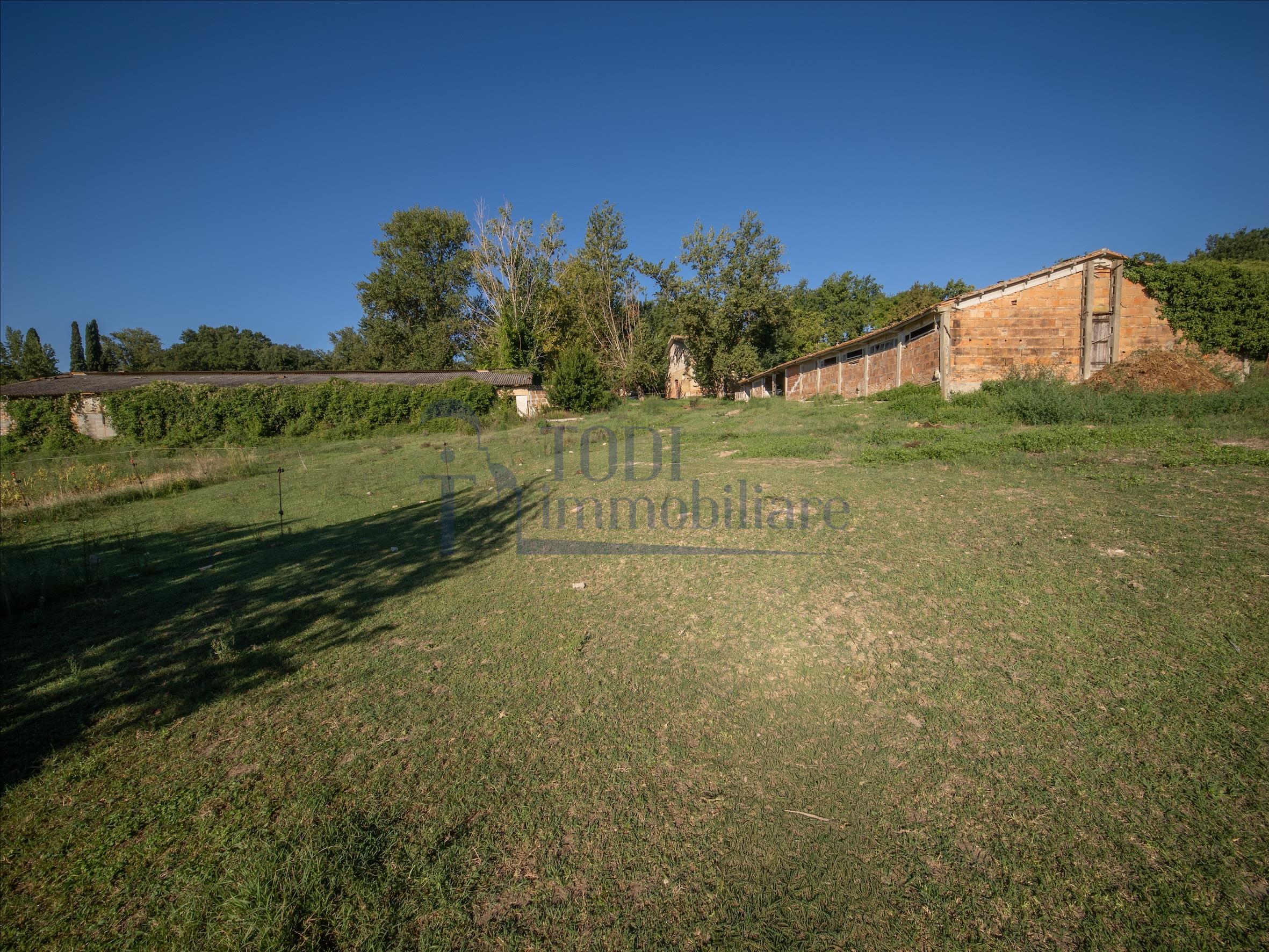 Azienda Agricola San Valentino - Todi Immobiliare
