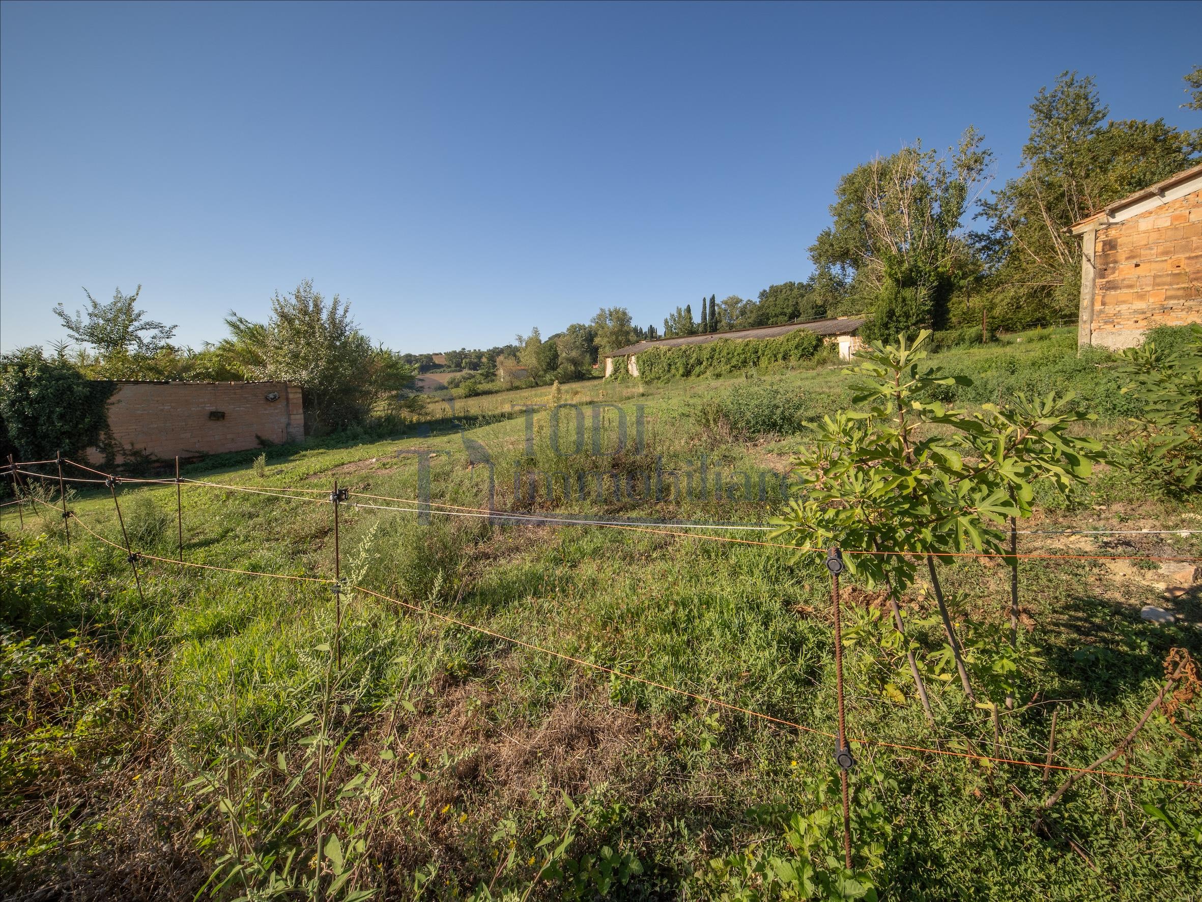 Azienda Agricola San Valentino - Todi Immobiliare