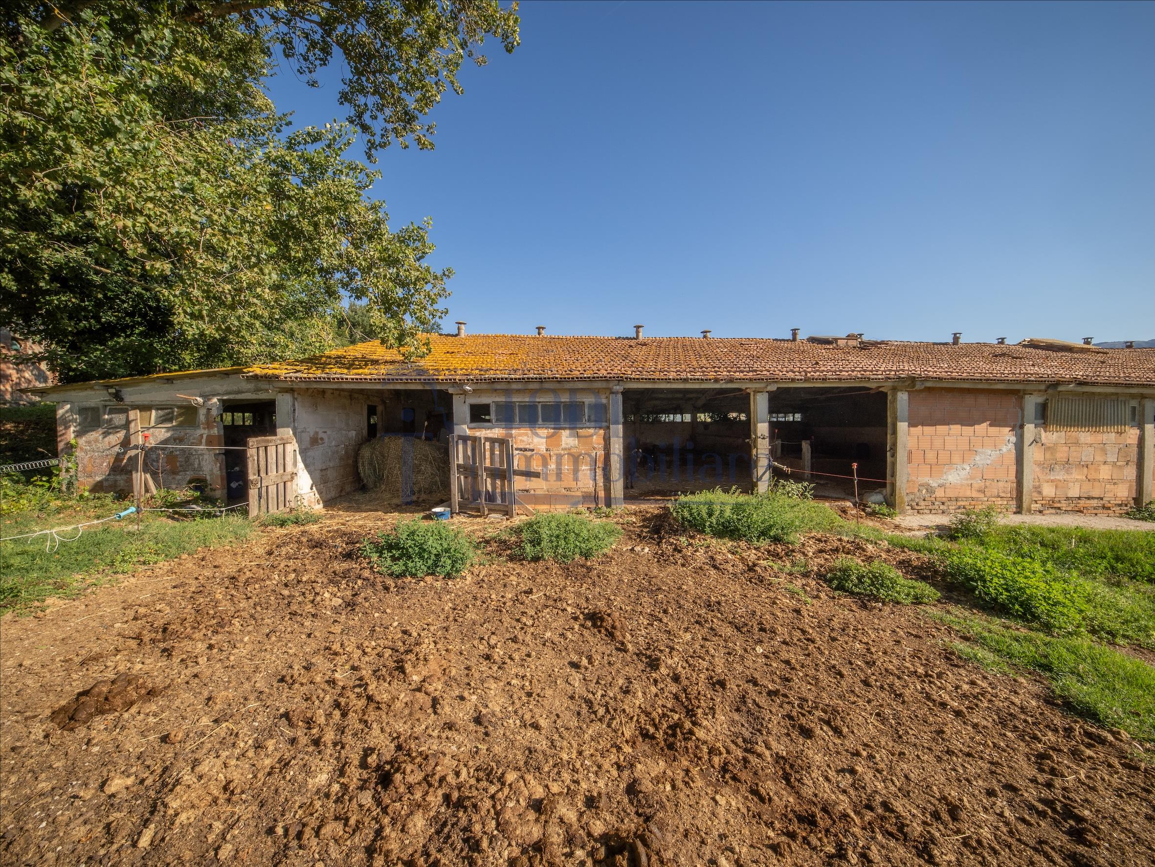 Azienda Agricola San Valentino - Todi Immobiliare