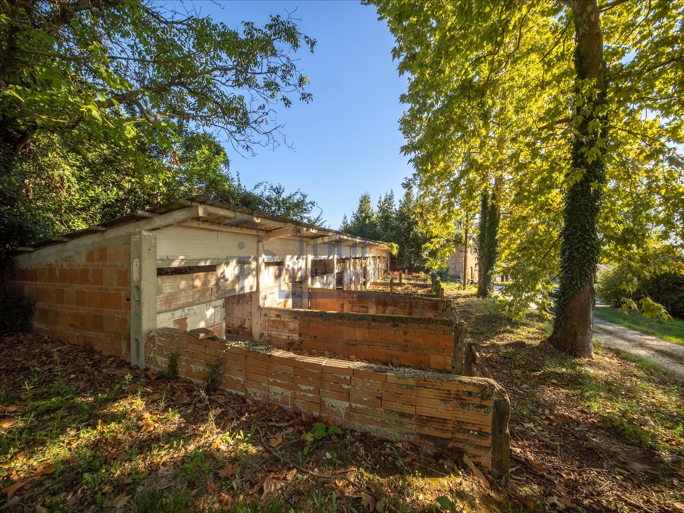 Azienda Agricola San Valentino - Todi Immobiliare