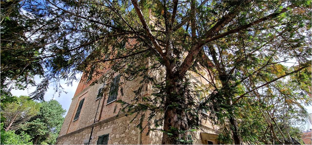Palazzina da ristrutturare zona centrale.