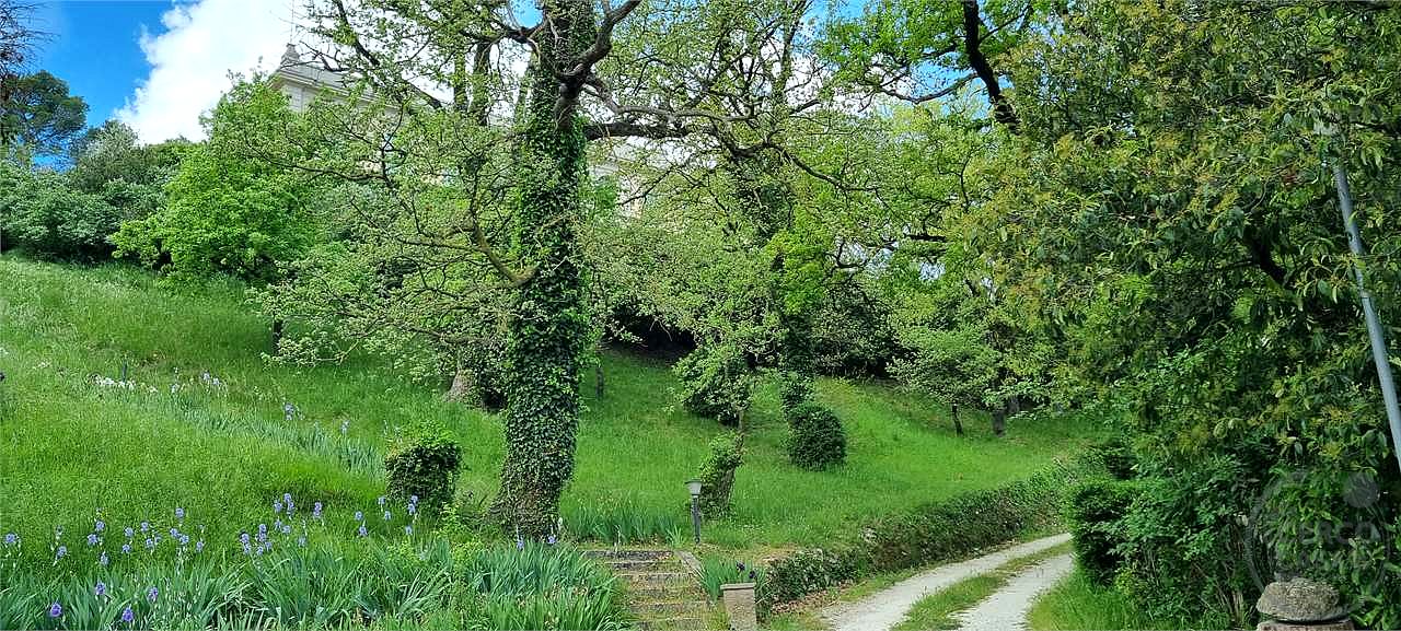 ITALIA – UMBRIA VILLA STORICA CON PARCO DI 43 ha