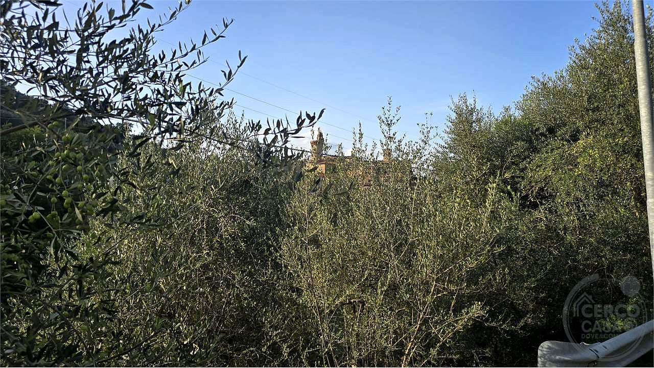Terreno agricolo vendita Catiglion Fosco Piegaro