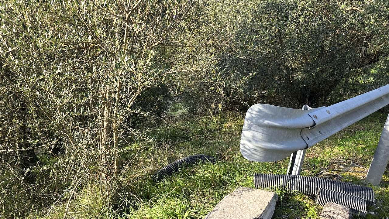Terreno agricolo vendita Catiglion Fosco Piegaro