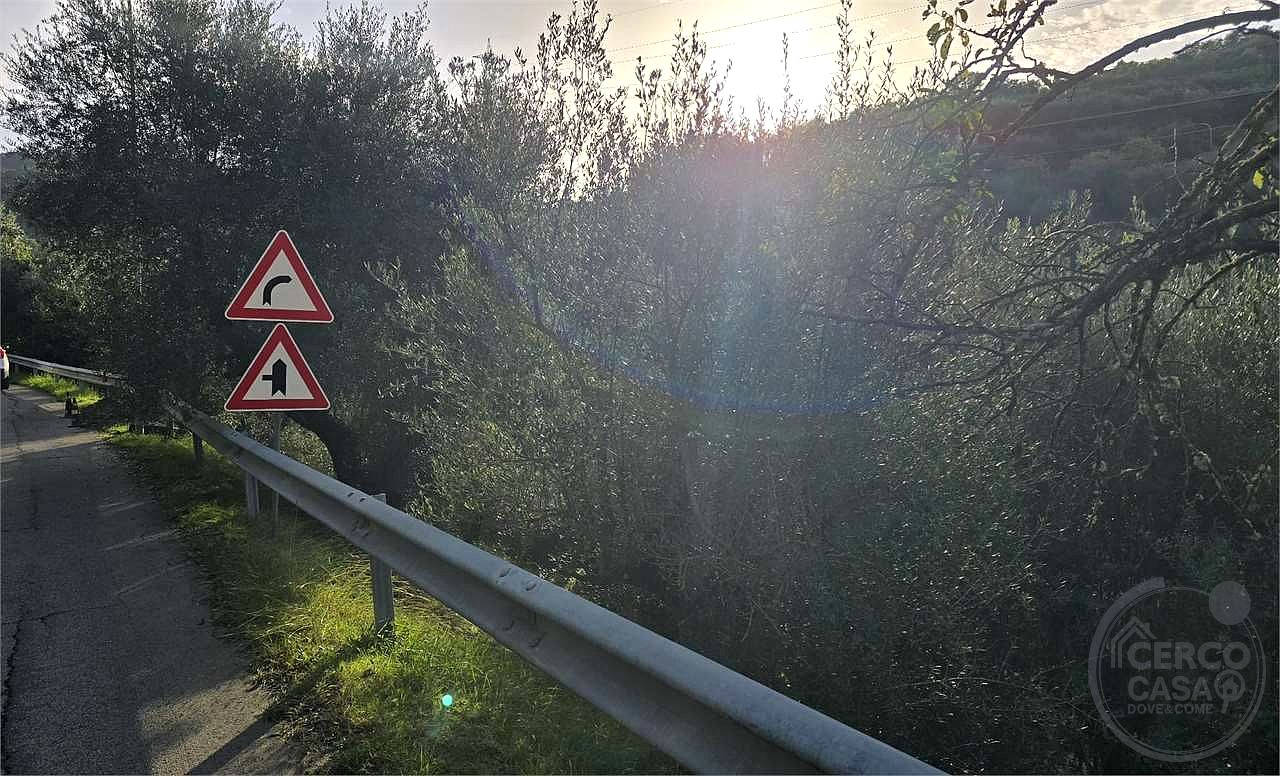 Terreno agricolo vendita Catiglion Fosco Piegaro