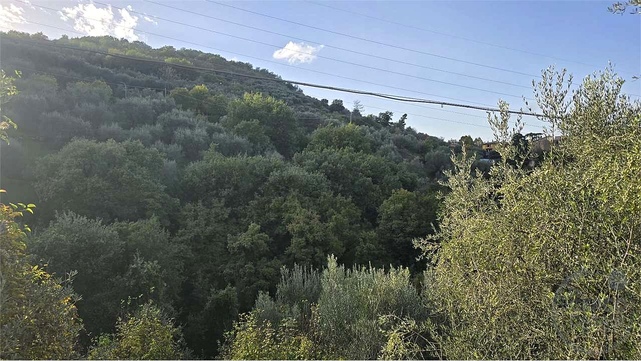 Terreno agricolo vendita Catiglion Fosco Piegaro