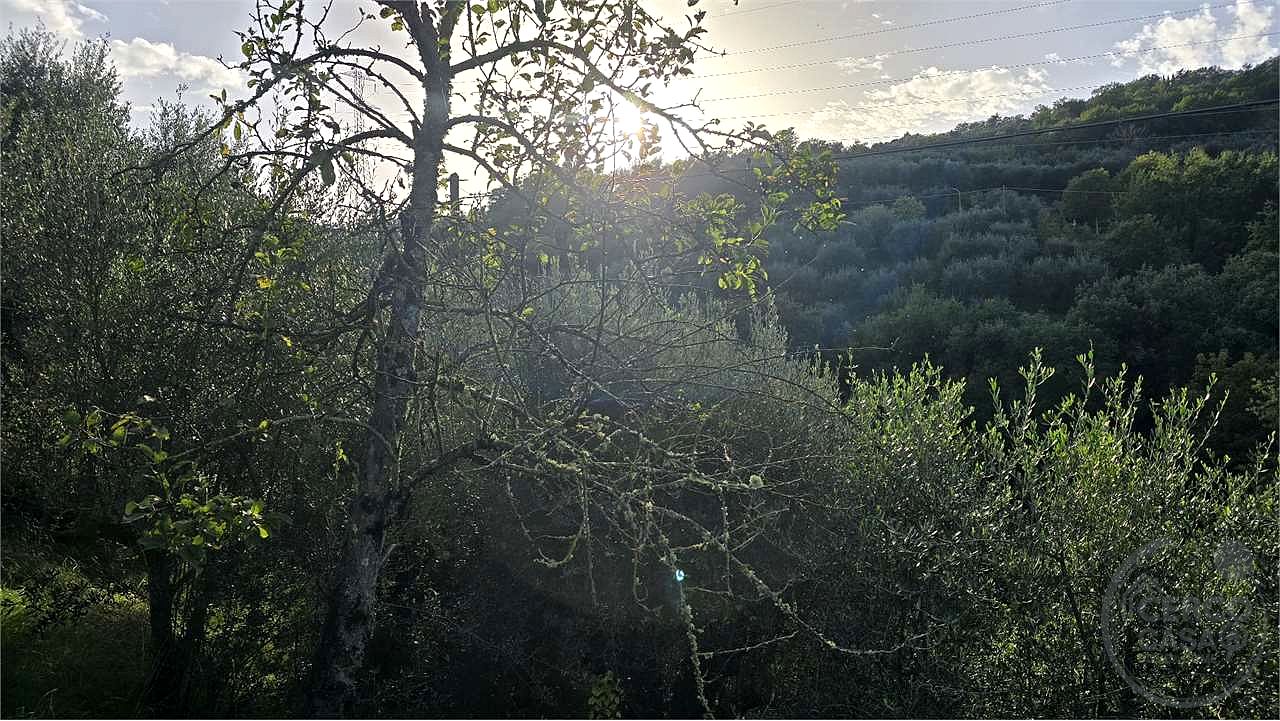Terreno agricolo vendita Catiglion Fosco Piegaro