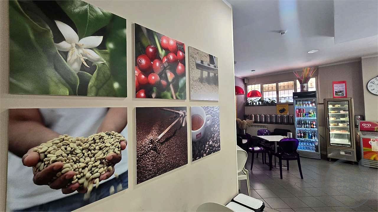 Bar pasticceria aperitivi San Martino in Colle