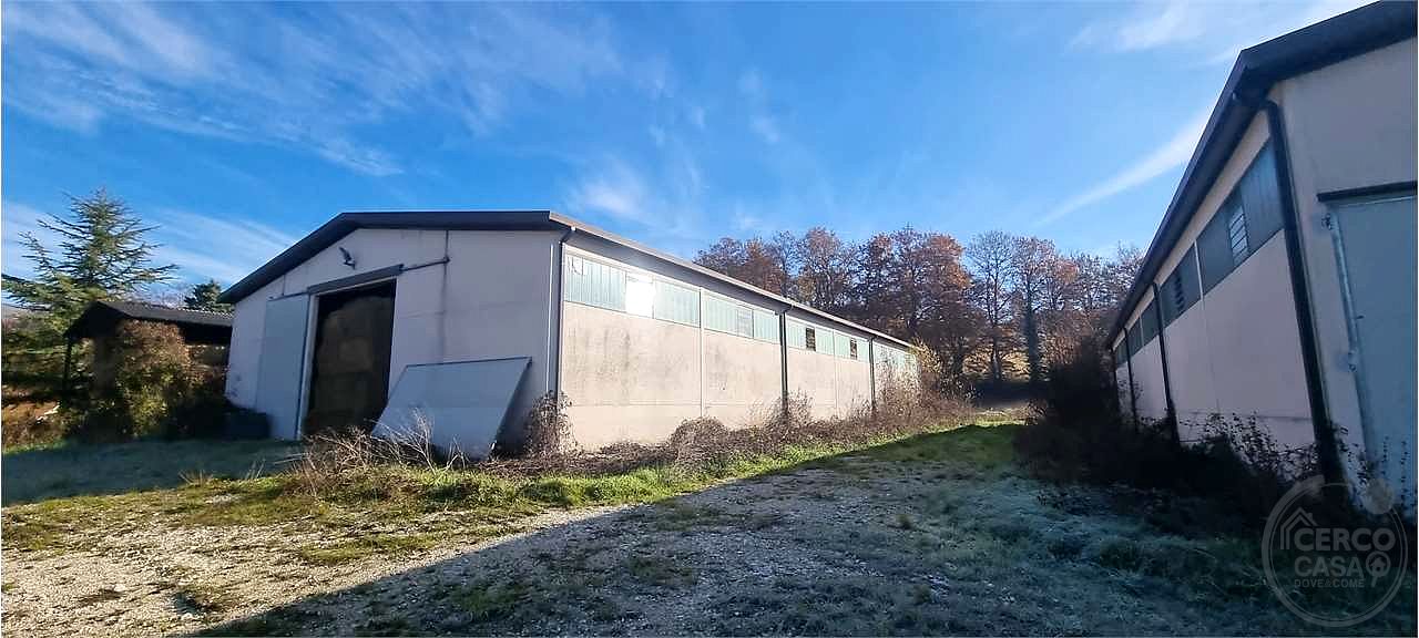 Azienda agraria 96 ettari con casale e capannoni