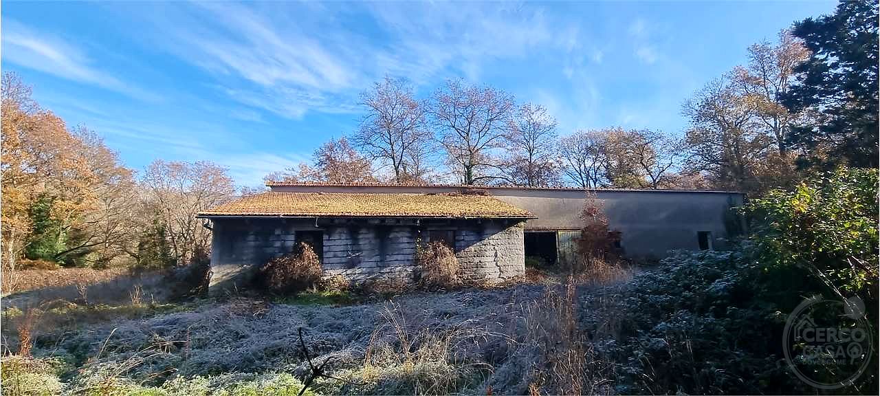 Azienda agraria 96 ettari con casale e capannoni
