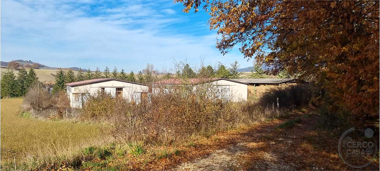 Azienda agraria 96 ettari con casale e capannoni