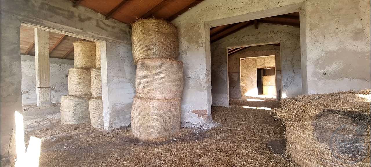 Azienda agraria 96 ettari con casale e capannoni