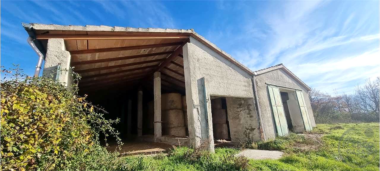 Azienda agraria 96 ettari con casale e capannoni