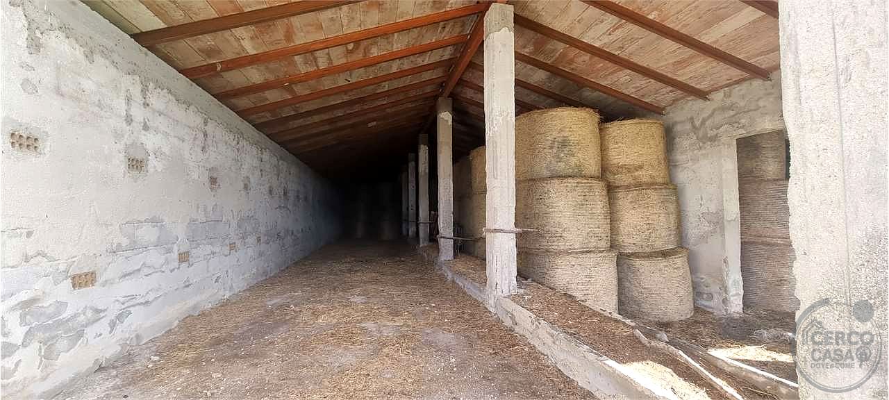 Azienda agraria 96 ettari con casale e capannoni