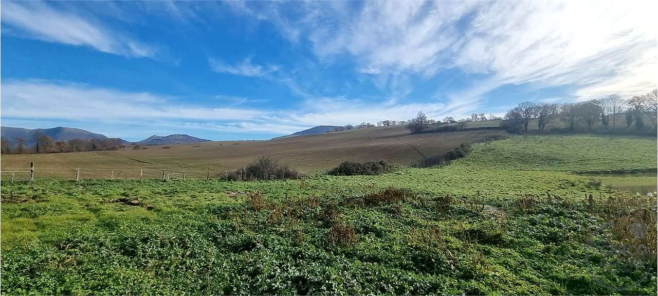 Azienda agraria 96 ettari con casale e capannoni
