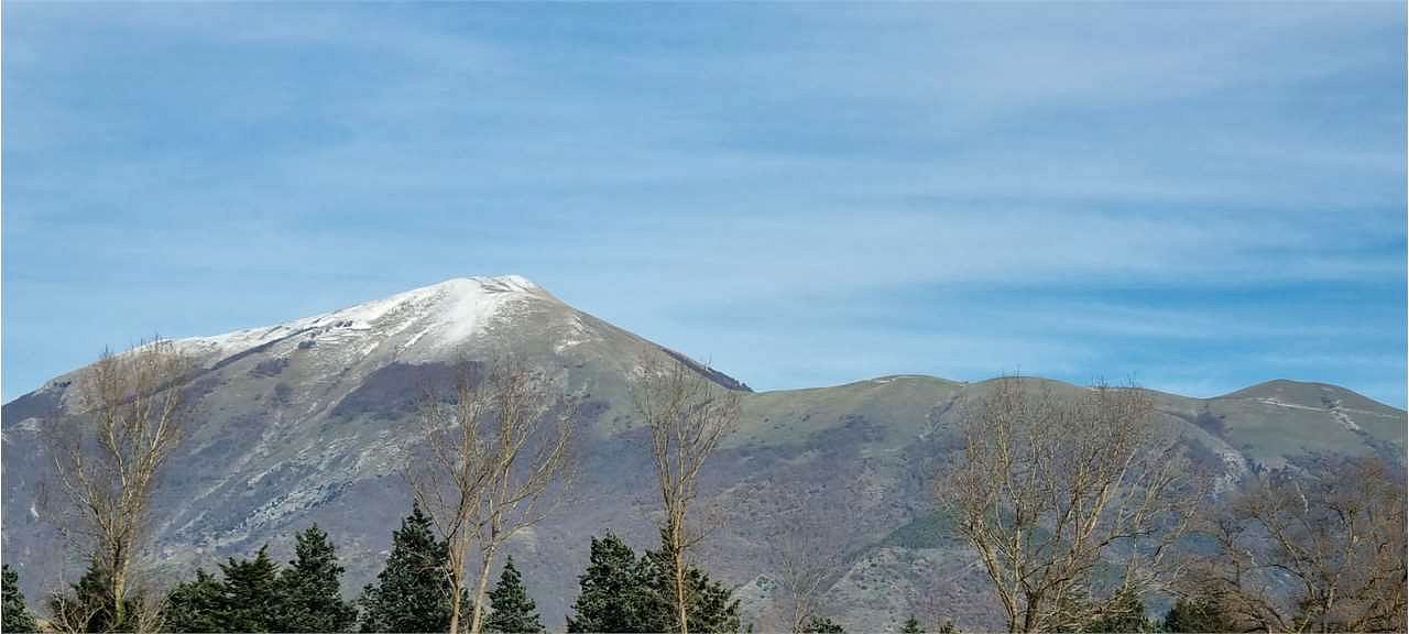Azienda agraria 96 ettari con casale e capannoni