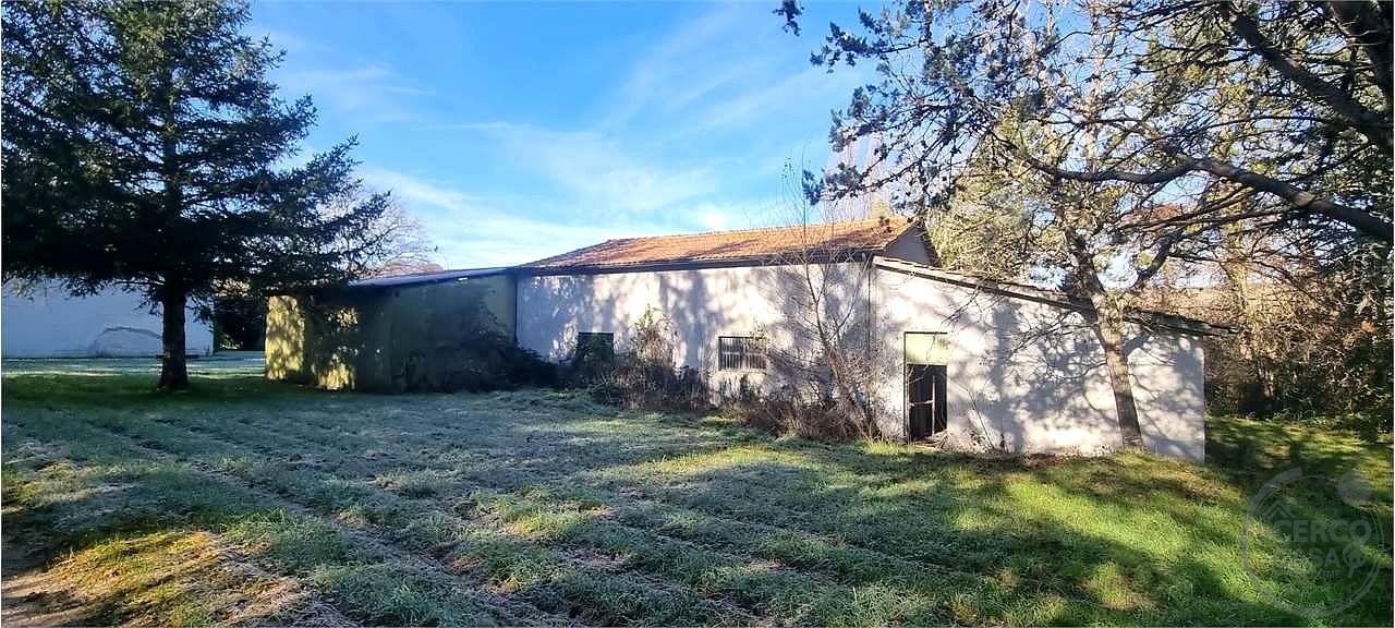 Azienda agraria 96 ettari con casale e capannoni