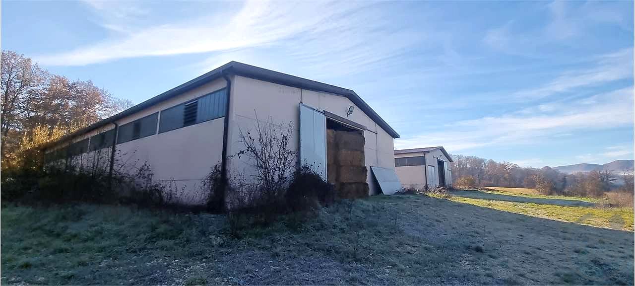 Azienda agraria 96 ettari con casale e capannoni