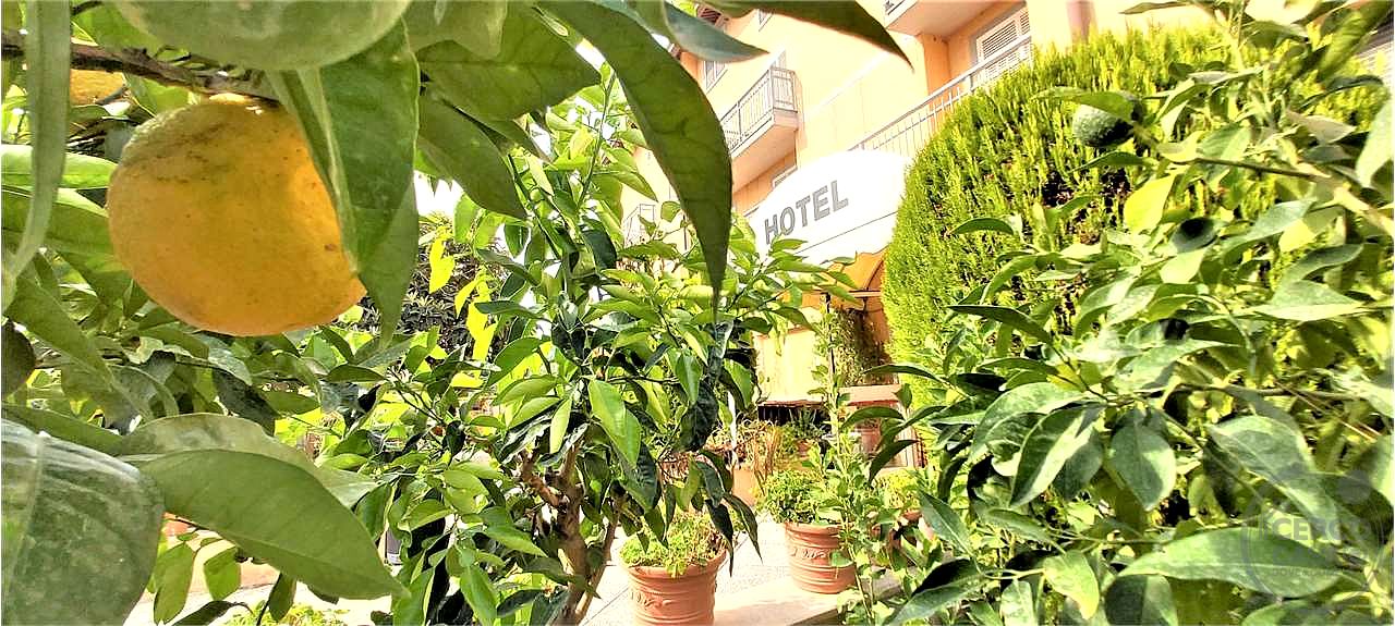 Hotel in vendita Passignano sul Trasimeno