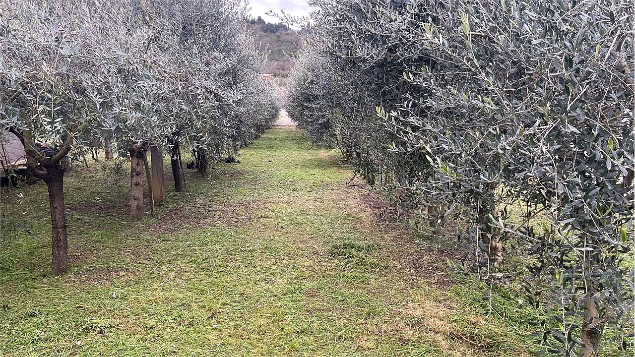 Terreno Edificabile di alta cubatura