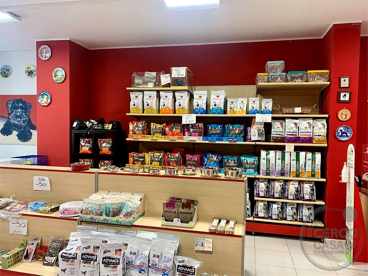 Negozio in Affitto a Bastia Umbra (PG)