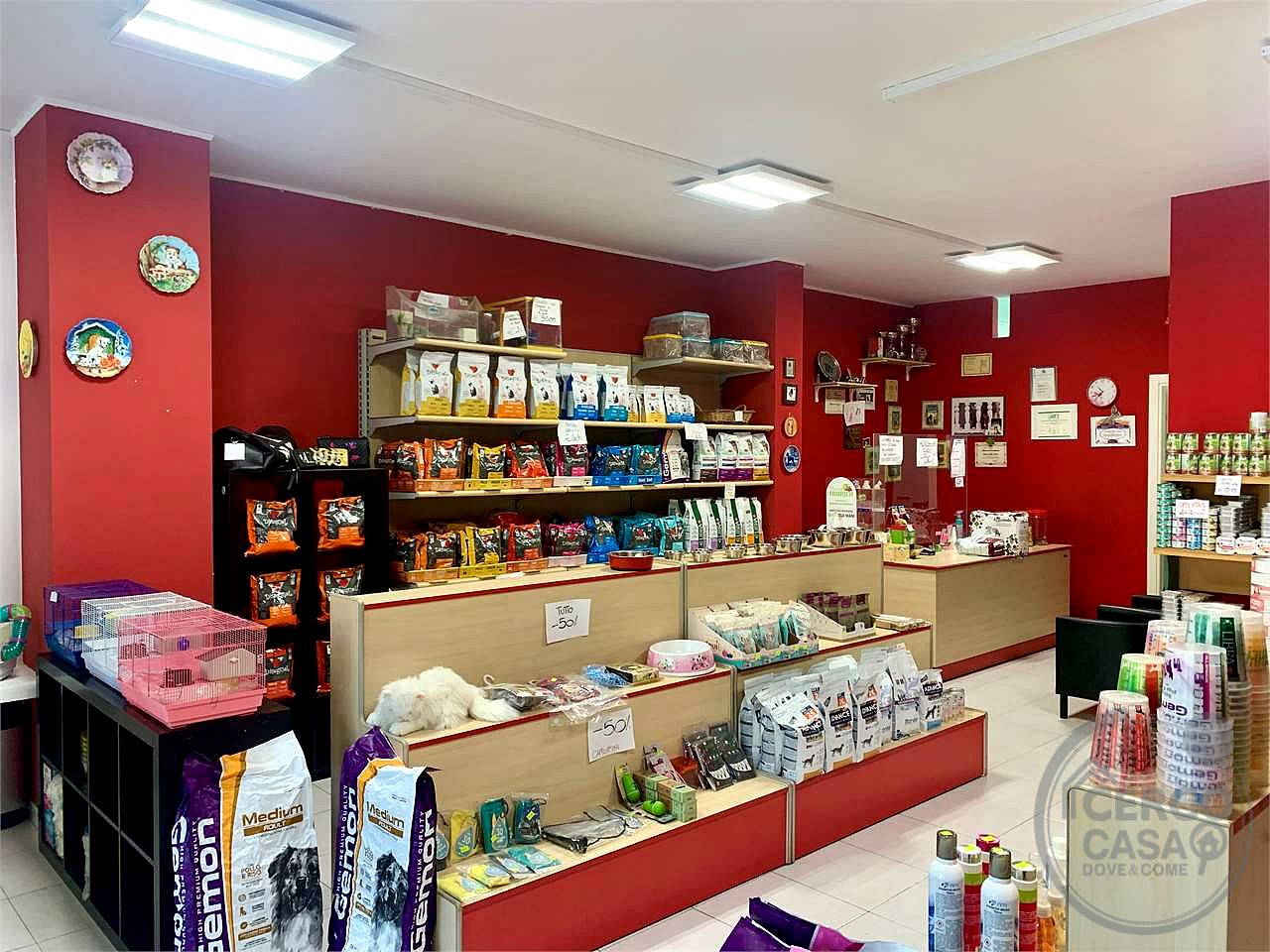 Negozio in Affitto a Bastia Umbra (PG)