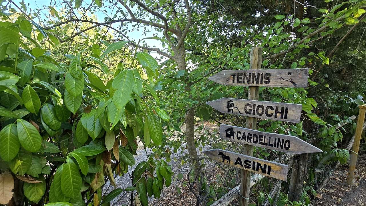 In vendita a Magione (Umbria) agriturismo composto da tre unità immobiliari.