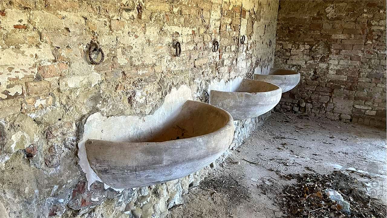 Casale con ampio terreno
