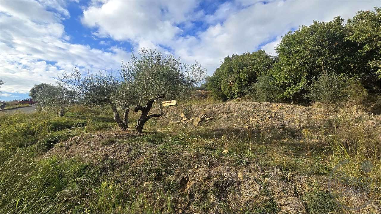 Terreno edificabile in vendita Tavernelle Panicale