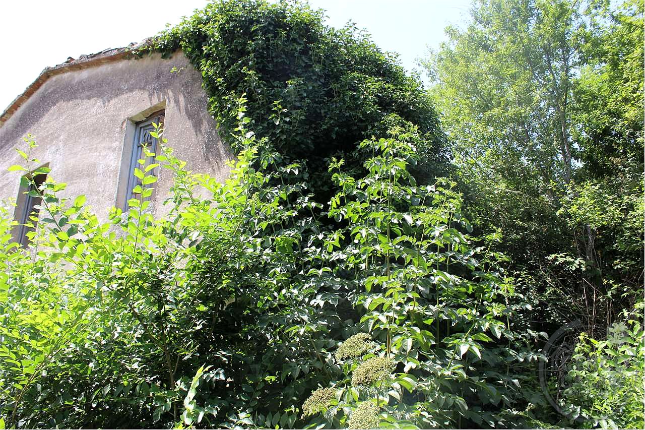 Rustico casale con annessi