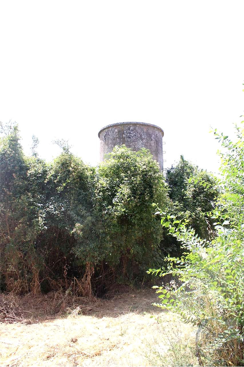 Rustico casale con annessi