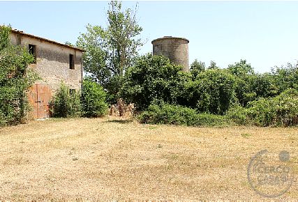 Rustico casale con annessi