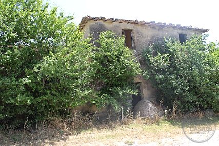 Rustico casale con annessi