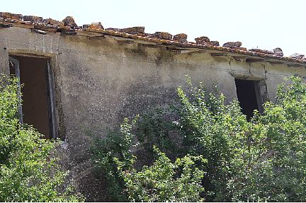 Rustico casale con annessi