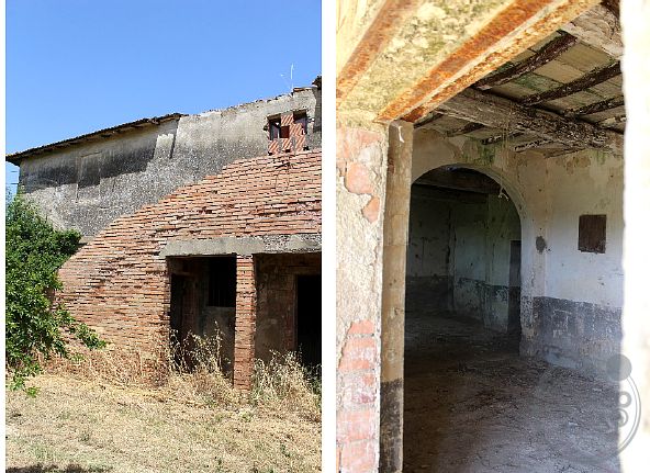 Rustico casale con annessi