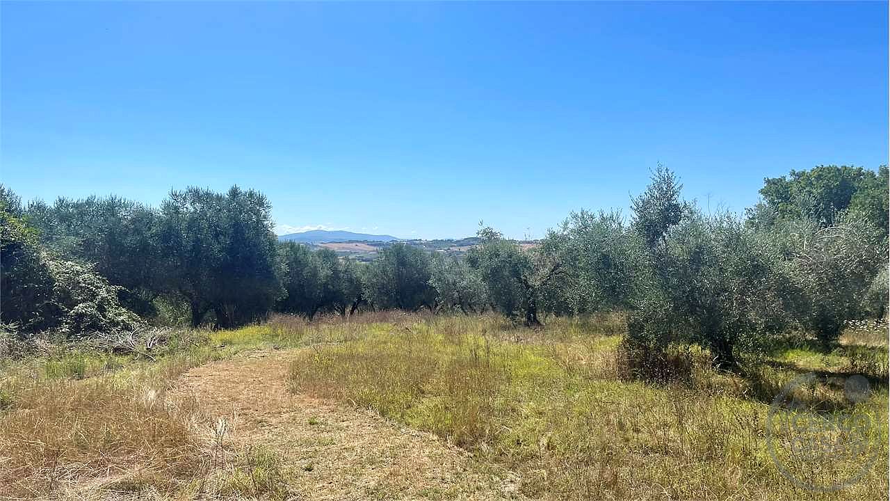 Rustico casale con annessi