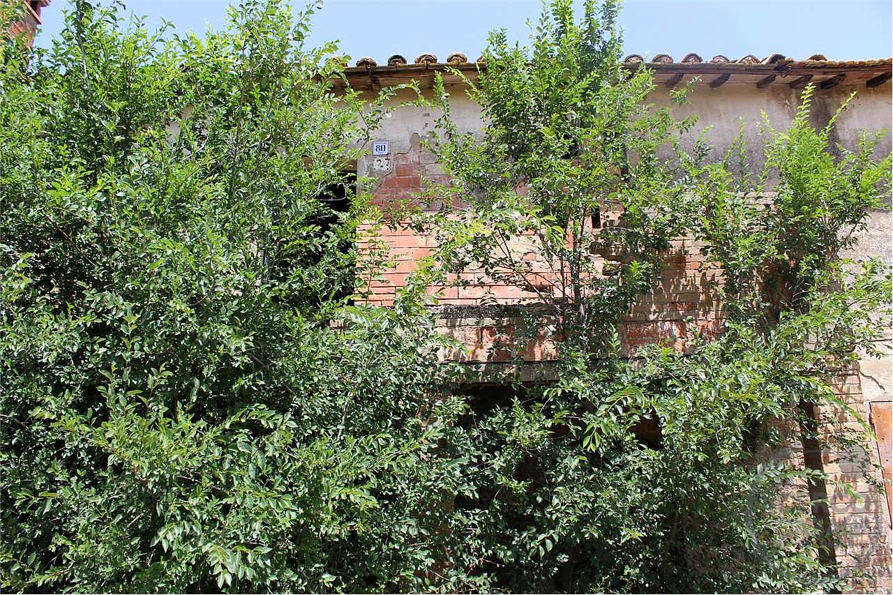 Rustico casale con annessi