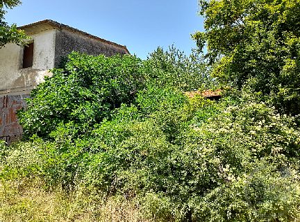 Antico Casale con Annesso Rurale da Ristrutturare
