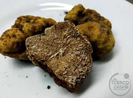 Gestione Ristorante con Bar, Tabaccheria e Mini-Market – Monte Santa Maria Tiberina (PG)