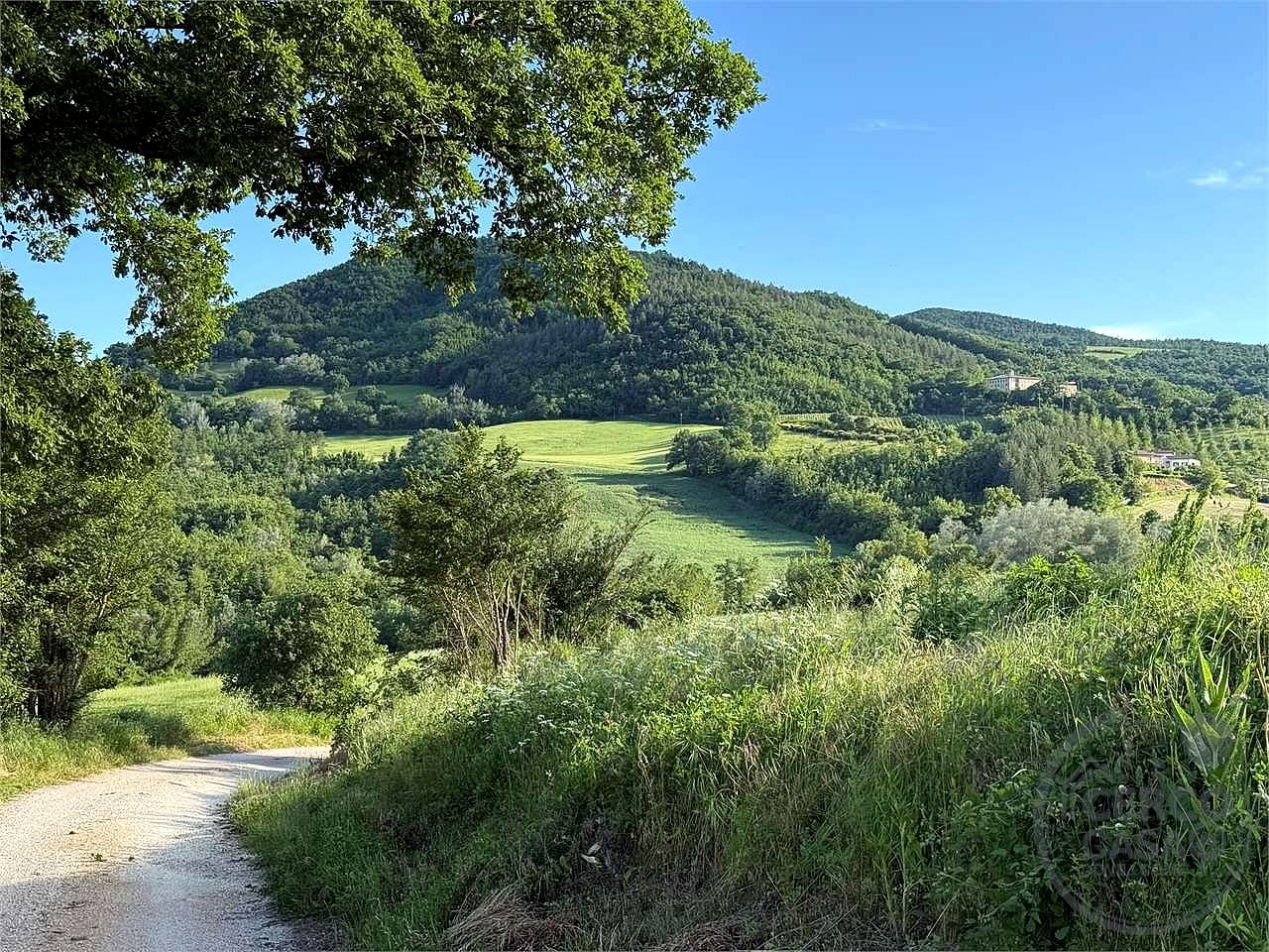 Castello di Montecchio