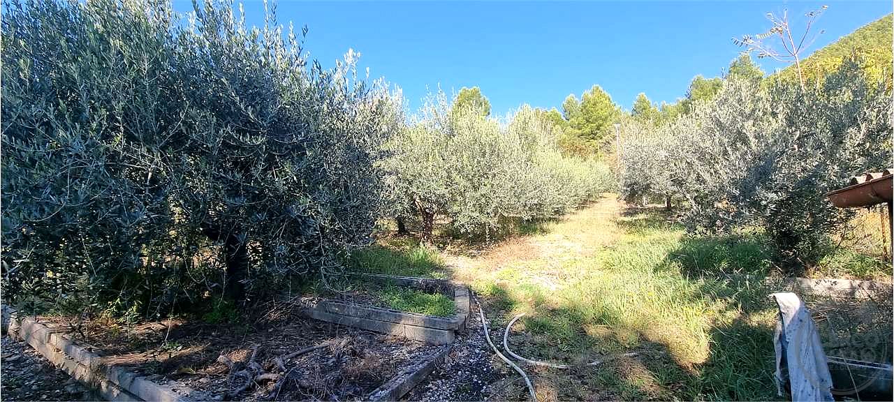 Casa a Campello sul Clutunno - Italy - Perugia
