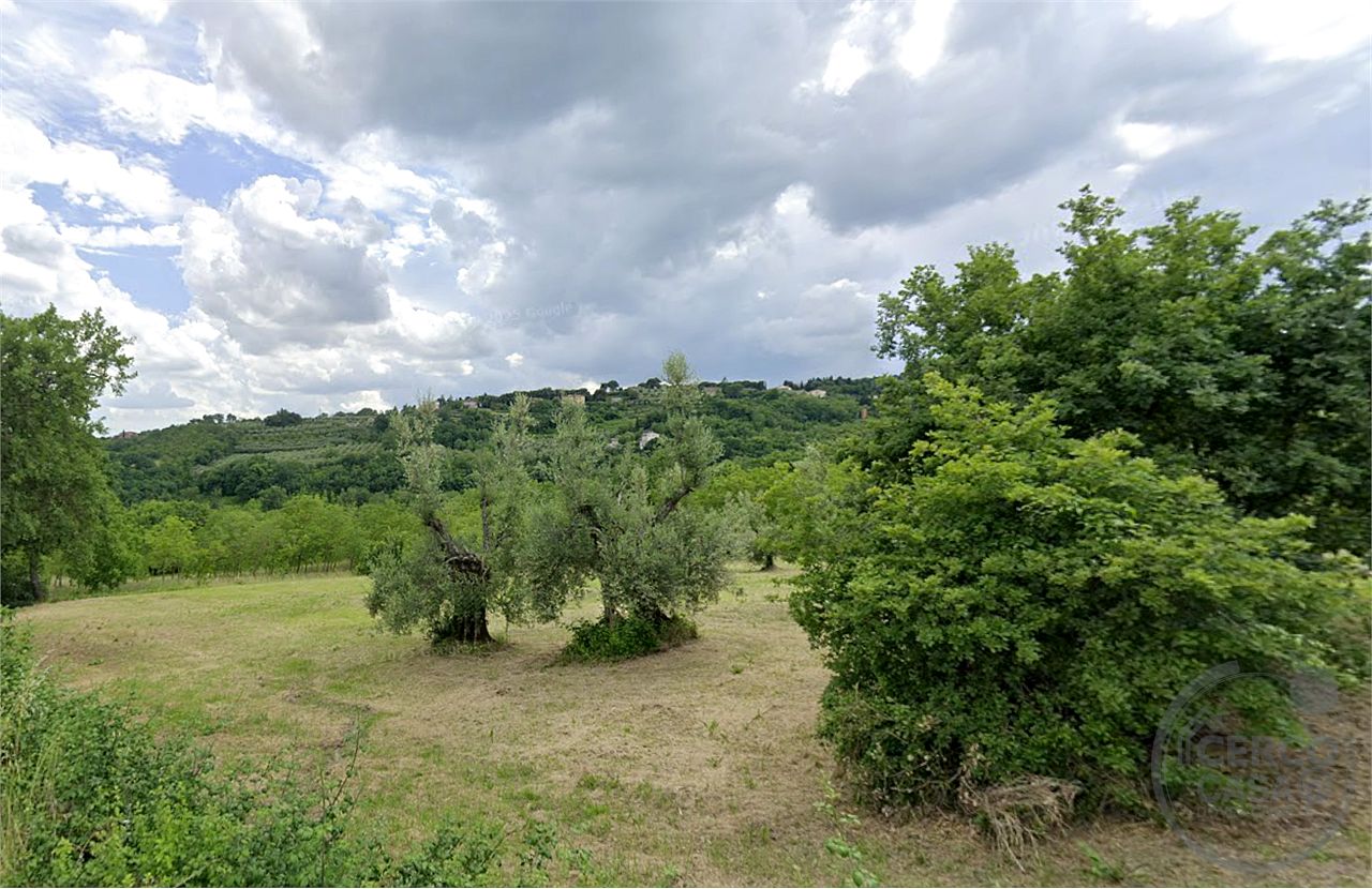 Vendesi Terreno Agricolo