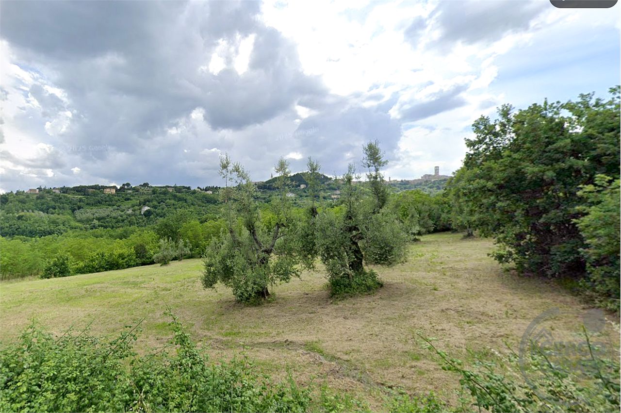 Vendesi Terreno Agricolo